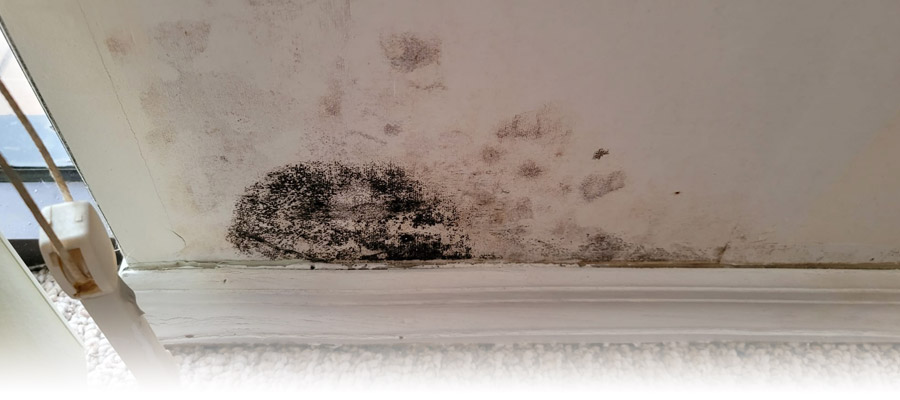 mold testing in a home with black mold on the walls